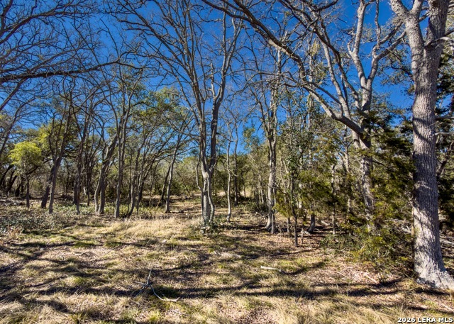 Image 8 of 55 For 000 Ranch Rd 473