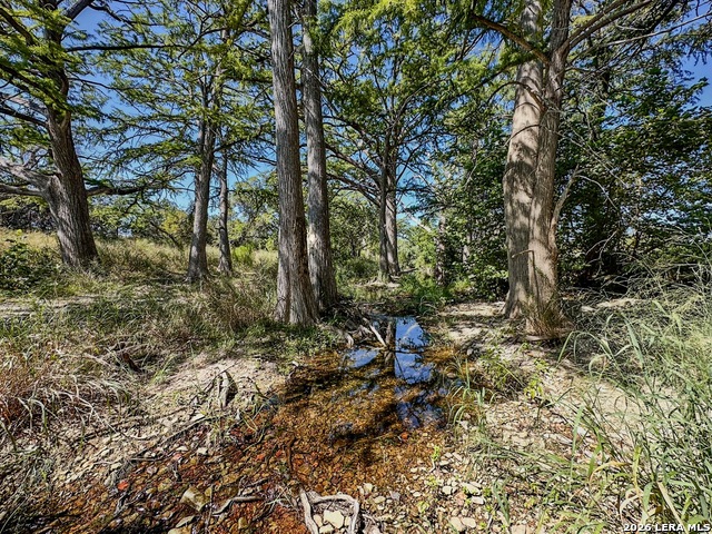 Image 9 of 55 For 000 Ranch Rd 473