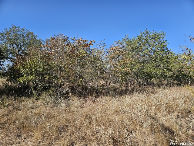 Image 19 of 51 For 422 Pr Sunset Vista