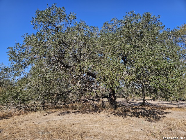 Image 25 of 51 For 422 Pr Sunset Vista