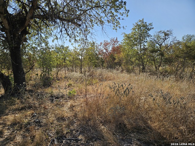 Image 41 of 51 For 422 Pr Sunset Vista