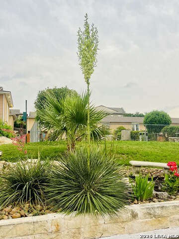 Image 14 of 35 For 7322 Oak Manor Dr  35