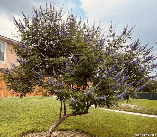 Image 15 of 35 For 7322 Oak Manor Dr  35