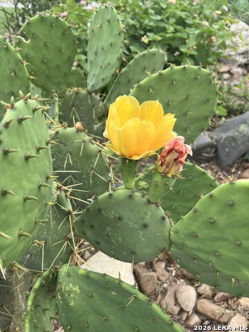 Image 19 of 35 For 7322 Oak Manor Dr  35