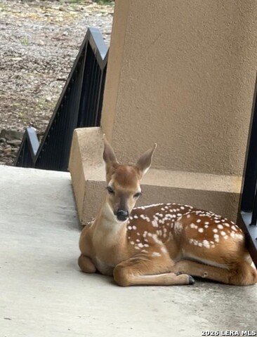 Image 47 of 50 For 2171 Sierra Madre