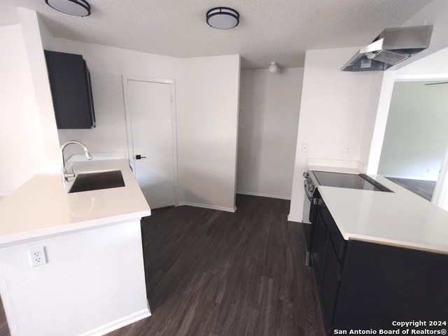 Image 2 of 11 For 11723 Spring Song