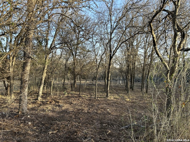 Image 2 of 4 For 5610 Verbena St