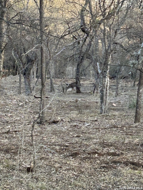 Image 3 of 4 For 5610 Verbena St