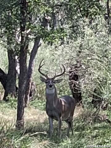 Image 4 of 4 For 5610 Verbena St