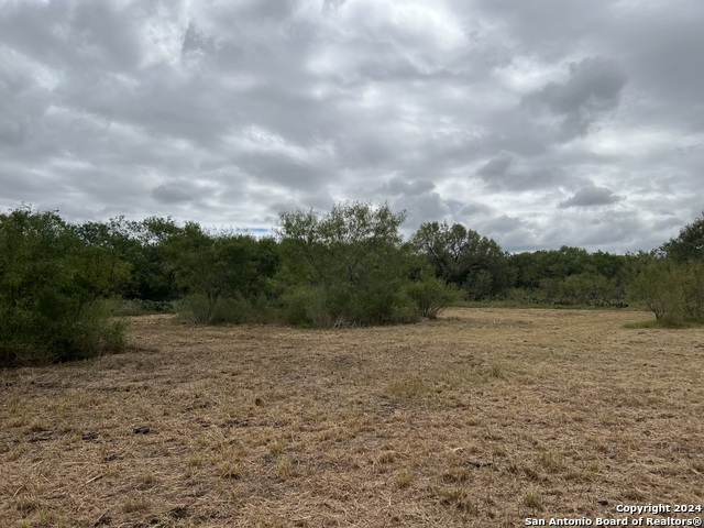 Details for 0 Hwy 281 S, Pleasanton, TX 78064