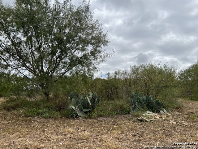 Image 10 of 11 For 0 Hwy 281 S