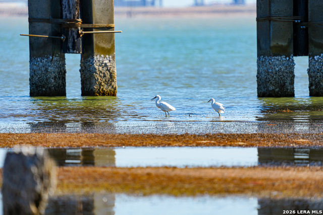 Image 13 of 13 For 0 Cr 3161 & 2220