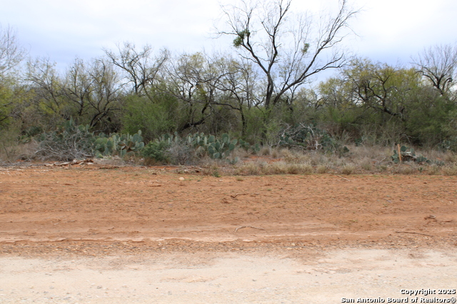 Listing photo id 5 for 3435 County Road-main Street