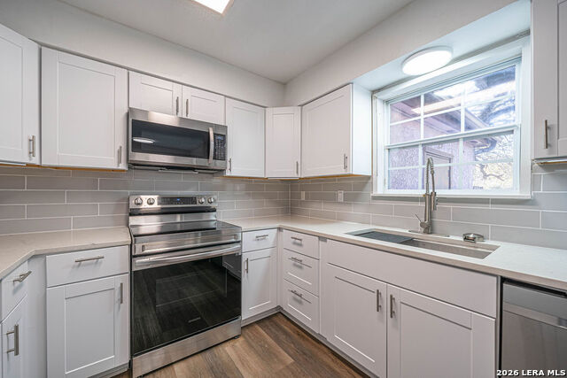 Image 3 of 23 For 2408 Wild Turkey  1