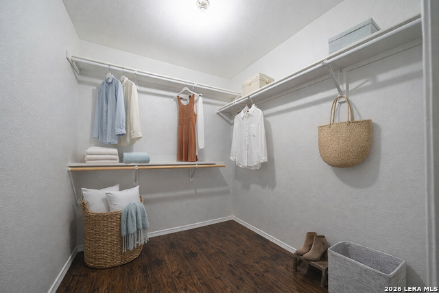 Image 9 of 23 For 2408 Wild Turkey  1