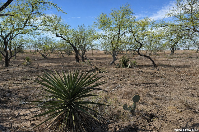 Image 10 of 53 For 105 Sylas Hayes