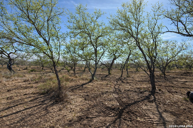 Image 11 of 53 For 105 Sylas Hayes