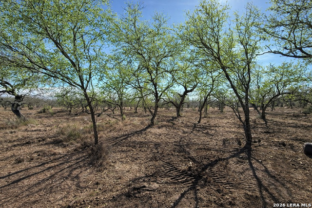 Image 12 of 53 For 105 Sylas Hayes