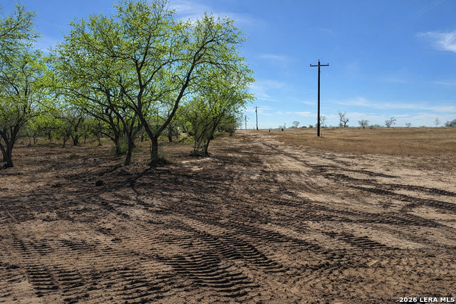 Image 13 of 53 For 105 Sylas Hayes