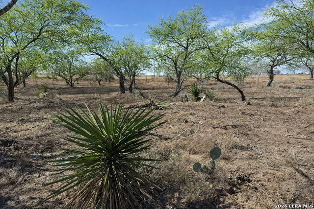 Image 2 of 53 For 105 Sylas Hayes