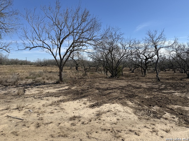 Image 25 of 53 For 105 Sylas Hayes