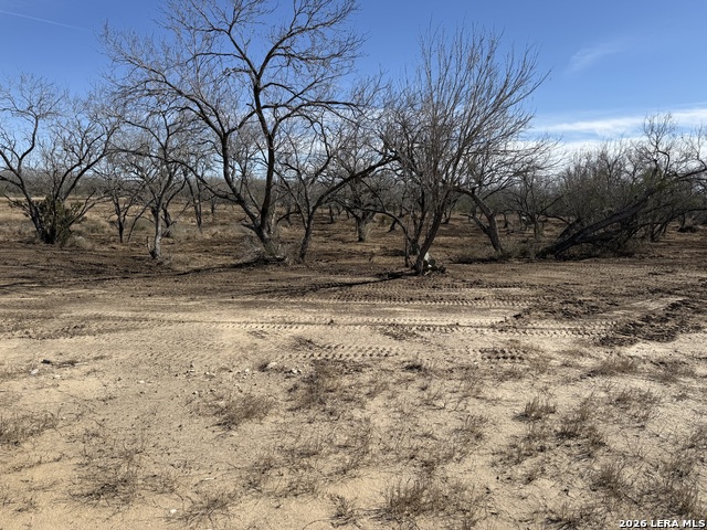 Image 28 of 53 For 105 Sylas Hayes