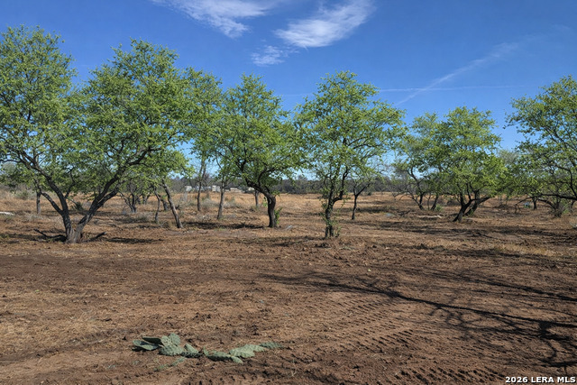 Image 3 of 53 For 105 Sylas Hayes