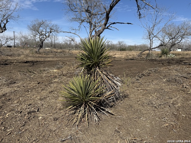 Image 35 of 53 For 105 Sylas Hayes