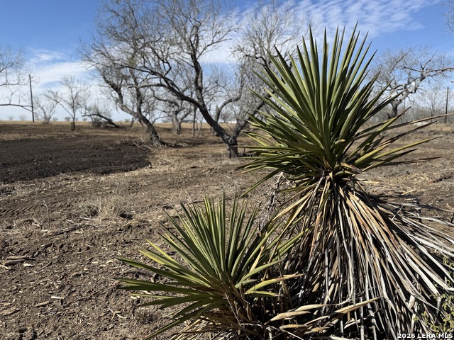 Image 36 of 53 For 105 Sylas Hayes