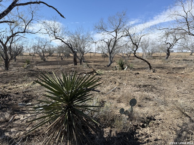 Image 37 of 53 For 105 Sylas Hayes