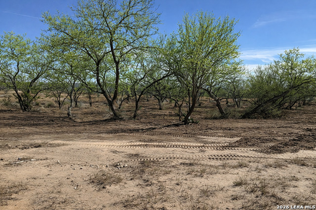 Image 4 of 53 For 105 Sylas Hayes