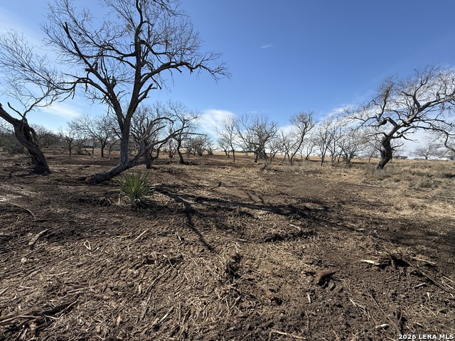 Image 41 of 53 For 105 Sylas Hayes