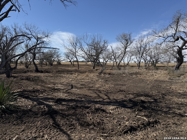 Image 42 of 53 For 105 Sylas Hayes