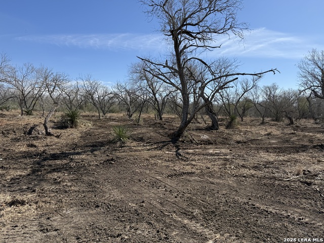 Image 43 of 53 For 105 Sylas Hayes