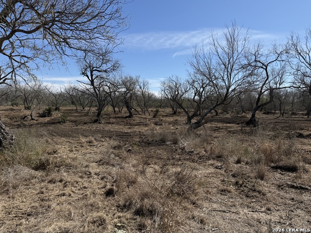 Image 44 of 53 For 105 Sylas Hayes