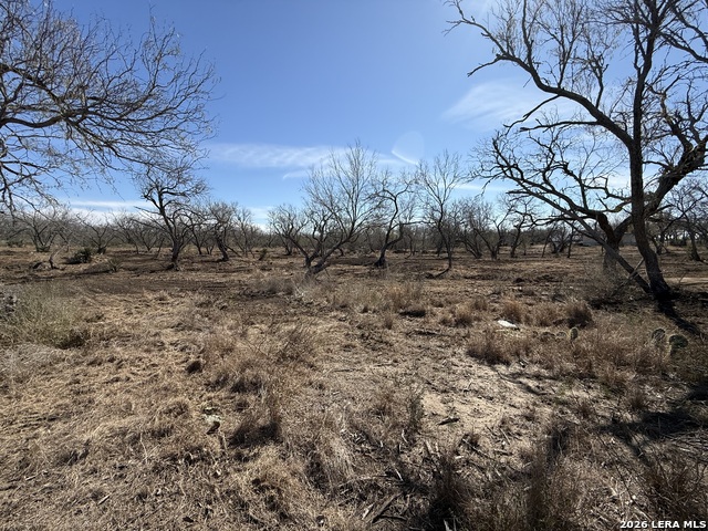 Image 45 of 53 For 105 Sylas Hayes