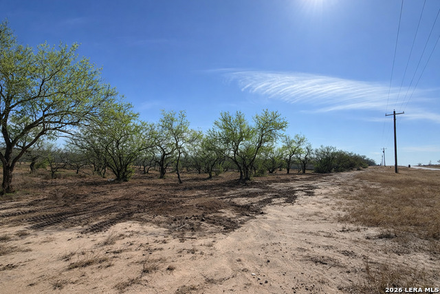 Image 6 of 53 For 105 Sylas Hayes