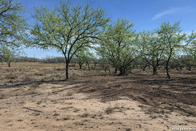 Image 7 of 53 For 105 Sylas Hayes