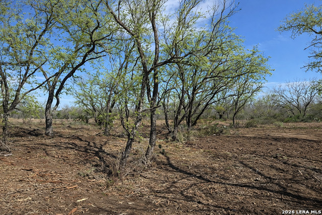 Image 8 of 53 For 105 Sylas Hayes