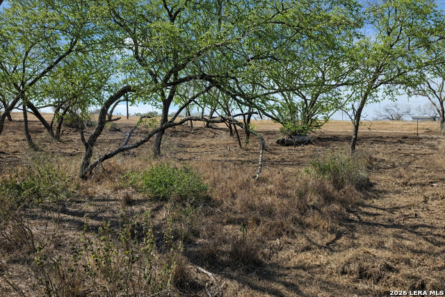 Image 9 of 53 For 105 Sylas Hayes