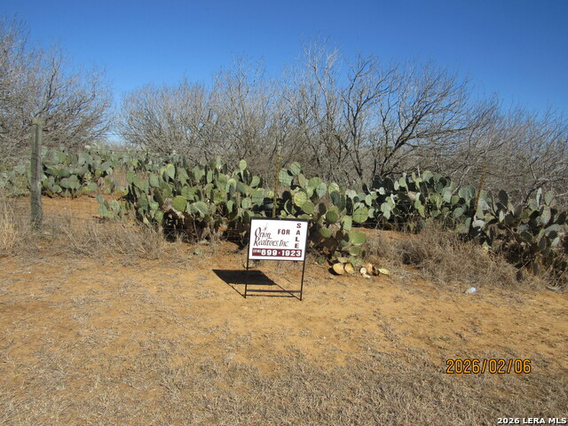 Details for 2662 County Road 307, Floresville, TX 78114