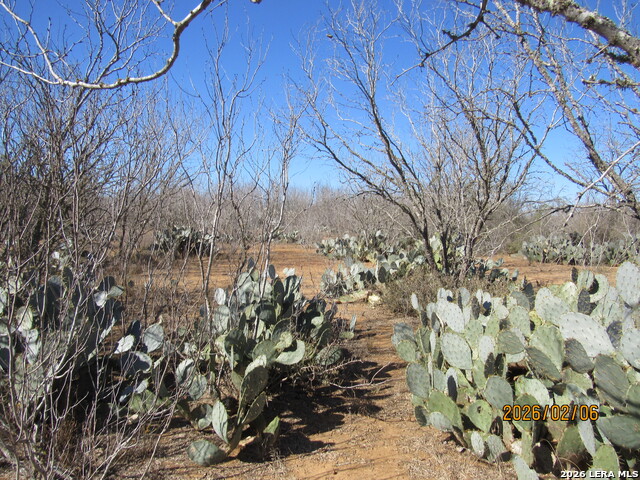 Image 2 of 7 For 2662 County Road 307