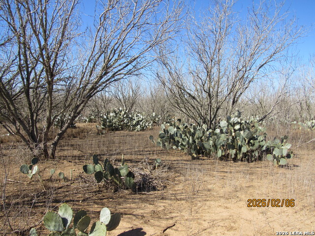 Image 3 of 7 For 2662 County Road 307