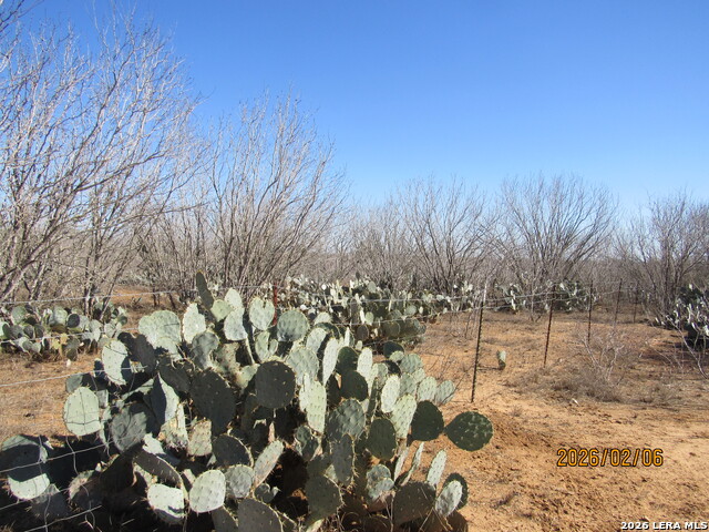 Image 5 of 7 For 2662 County Road 307