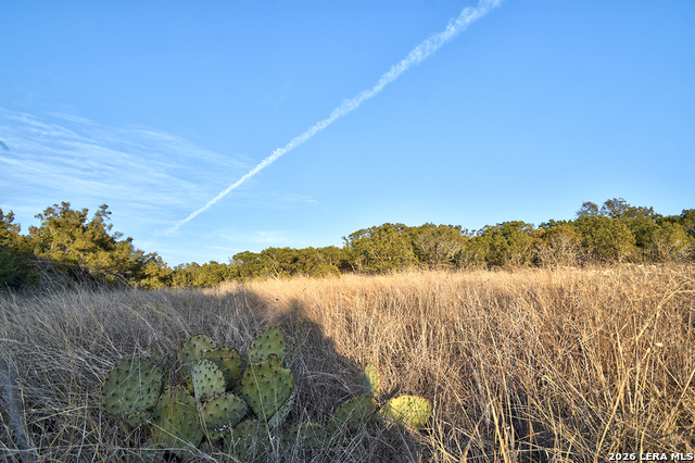 Listing photo id 4 for 1045 Shapen Springs S