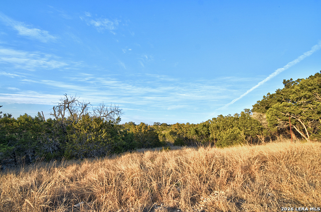 Listing photo id 5 for 1045 Shapen Springs S