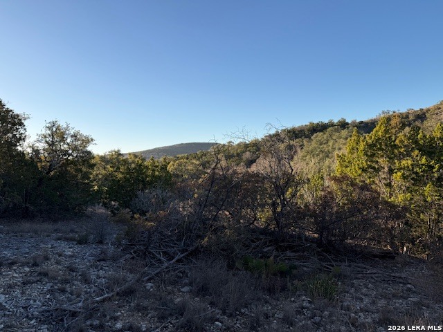 Image 8 of 9 For Lot 52 Clear Water Cyn