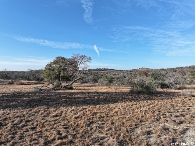 Image 14 of 28 For 1156 Kendall Jackson