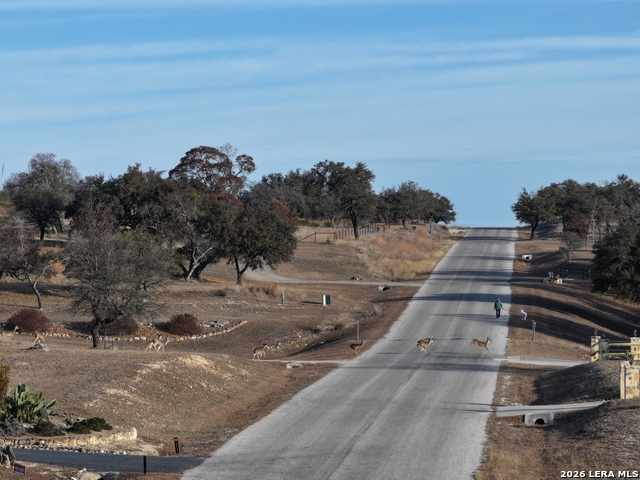 Image 20 of 28 For 1156 Kendall Jackson