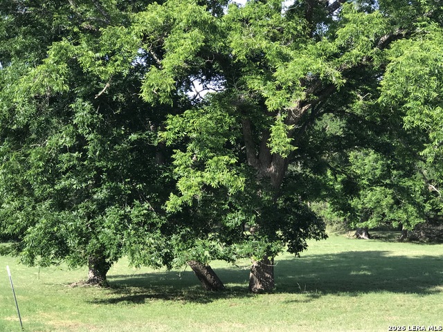 Image 2 of 9 For 25752 Morhiss Point